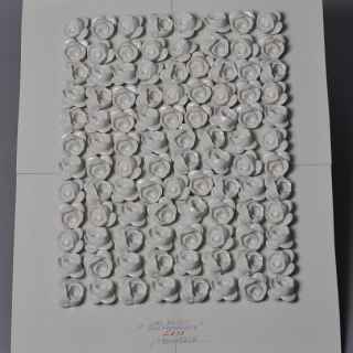 Jiří Kožíšek - Sto květů pro republiku